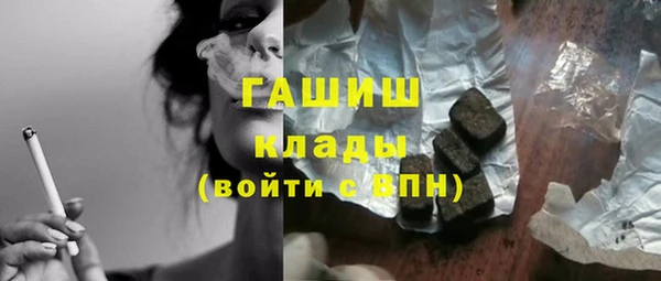 шишки Шилка