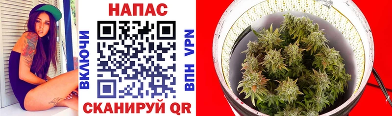 цены   Аткарск  Канабис индика 